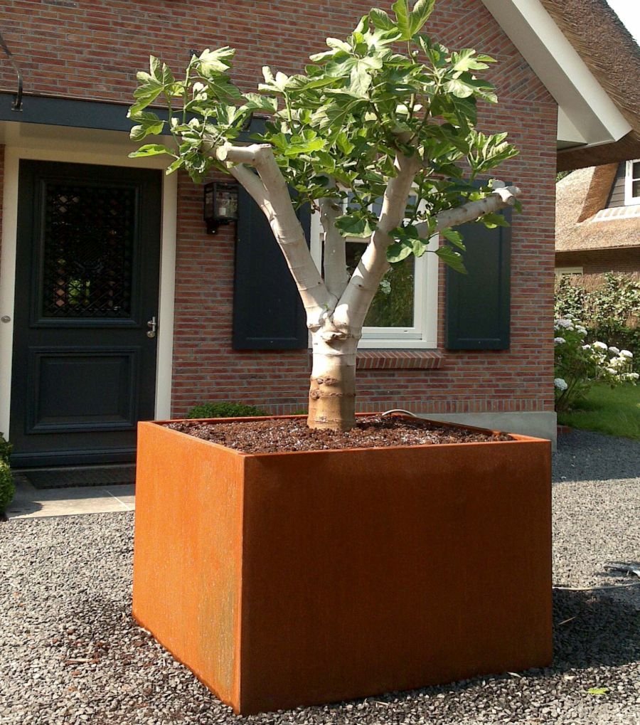 hochbeet-corten-kubisch-70cm-solitr-pflanzgef