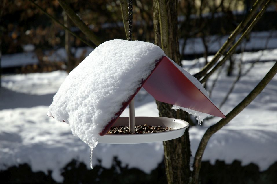 design-vogelhaus-anthrazit-rot-zum-hngen-hinstellen-ambiente